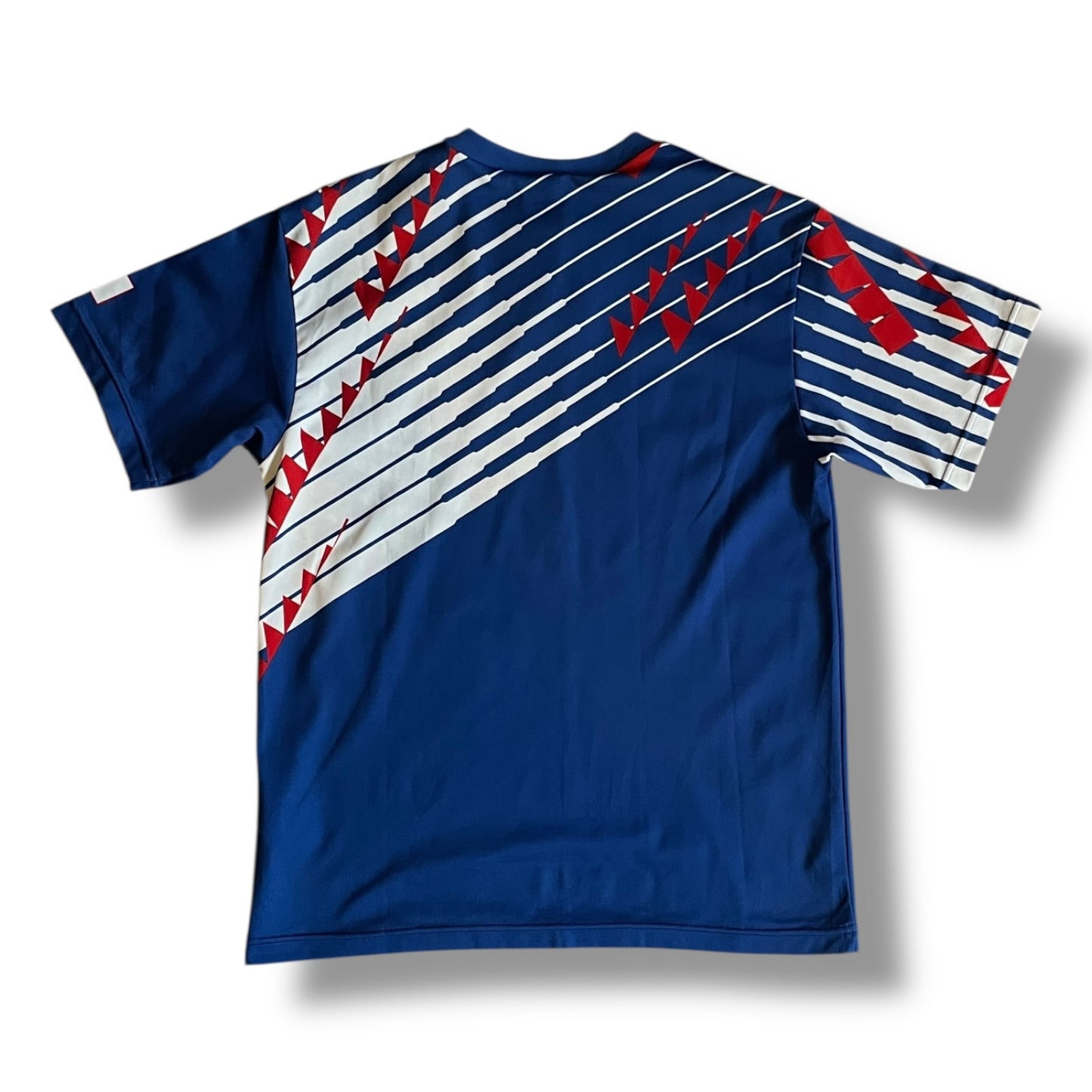 Japan 1993 Home Reproduction - S