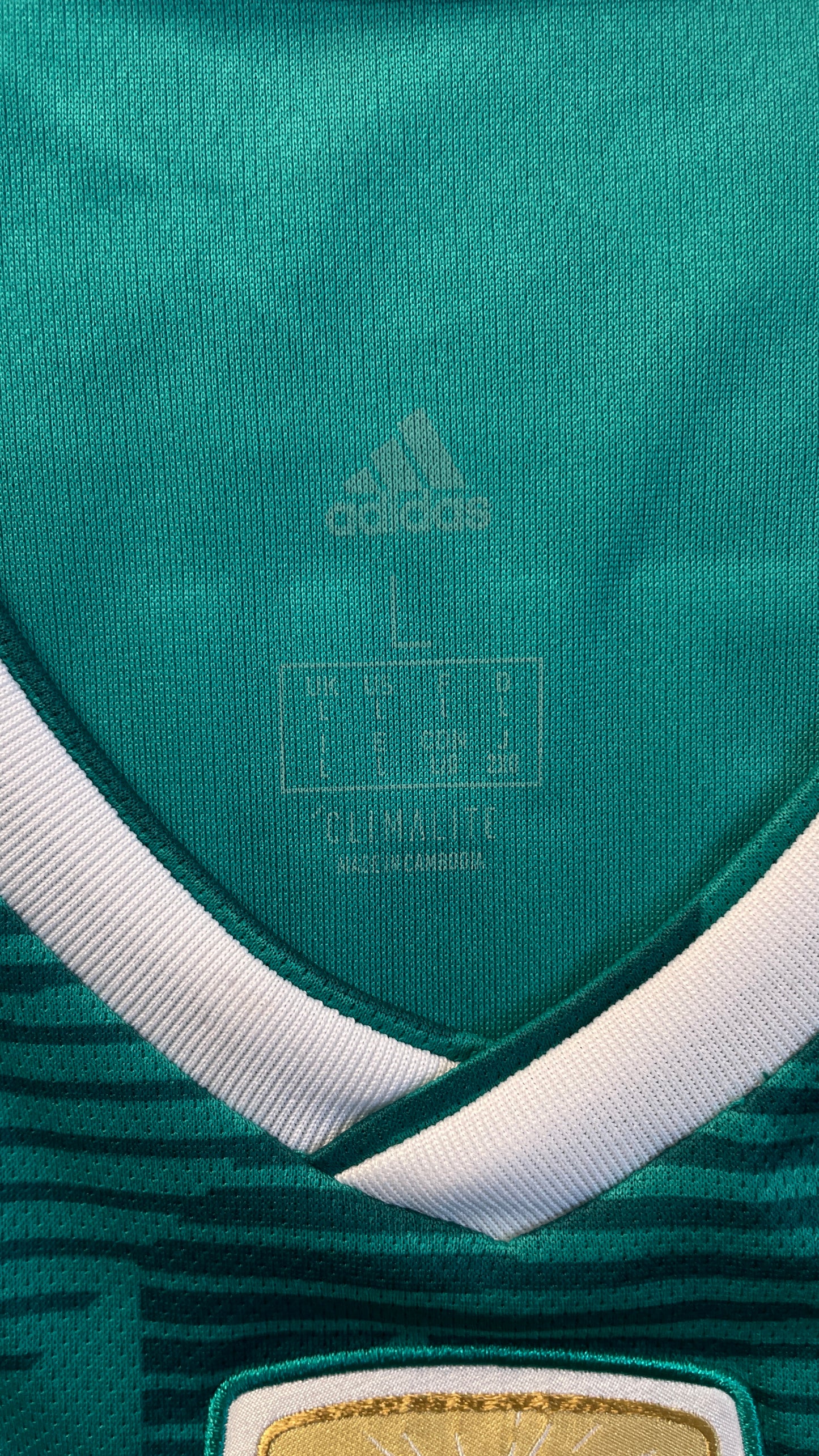 Germany 18/19 Away - DRAXLER #7 - L